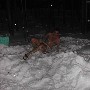 002704ru_ch