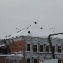 002884ru_ch